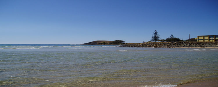 Crescent Head surf club and the nobby