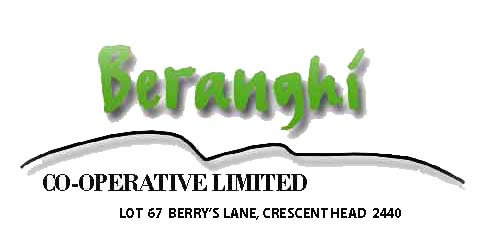 Beranghi logo designed by Member David atDNA Creative
