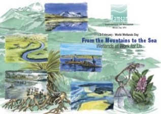 world wetlands day site